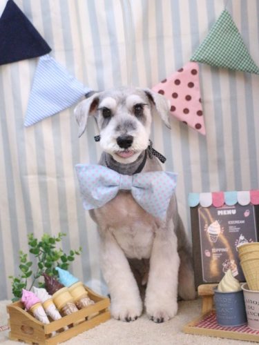 20250506りくくん